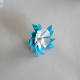 Flower with slanted blue fringe and white fringed centre