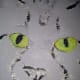 More work on the eyes - still very rough at this stage.