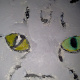 Eyes again.
