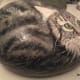 how-to-paint-stones-cat-portrait