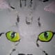 Eyes finished for the time being. More will be done to them later.
