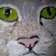 Starting to paint fur.