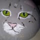 how-to-paint-stones-cat-portrait