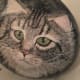 how-to-paint-stones-cat-portrait