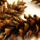 First coat of wax applied and the pine cones are drying on the wax paper.