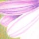 painting-flowers-with-colored-pencils