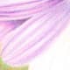 painting-flowers-with-colored-pencils