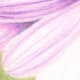 painting-flowers-with-colored-pencils