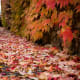 Taken with the wide angle 24-70mm f/4 IS lens.