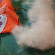 2. Stuff the toy with fiberfill.
