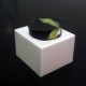 K-cup Barbie pillbox hat with flowered wallpaper