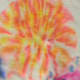 After -- looks like a mum or a firework. One of my favorites.