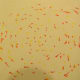 Before - yellow, oarange and reddish polka dots in a circular pattern.