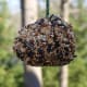 Pinecone Bird Feeder Tutorial