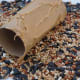 Completely cover the outside of a toilet paper roll with peanut butter.