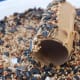 Roll the covered roll in bird seed.