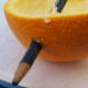 Using a pencil, poke 3 holes, evenly spaced about 1/2 inch below cut edge.