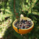 Orange peel bird feeder tutorial.