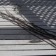 Cut willow withes or straight thin branches.