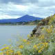The background mountains and foreground flowers are both nice, so I have them both in focus. This provides a sense of depth or perspective to the scene