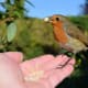 Background out of focus but sufficient depth of field to get most of my hand and Robby into focus!