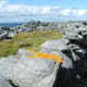 The wall extending into the distance gives a sense of perspective