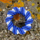 cellini-spiral-bracelet-pattern