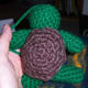 Turtle with its shell attached.