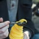 Enjoying a pineapple Dole Whip in the Magic Kingdom.