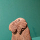 The standing bear