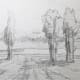The pencil drawing of the landscape