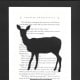 The doe is for Severus Snape and Lily Potter.