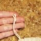 Knot the ends and trim off any excess twine.
