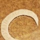 Cut the twine from the ball, leaving a good length to create your web. If you plan on adding beads, get them ready. You may want to use a needle to make it easier to get the beads on the twine.