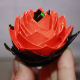 Side view of my rose.