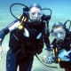 Make one for a dive buddy
