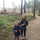 Collecting twigs