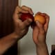 Egg tapping
