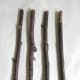 Cut four twigs of equal size to create the legs for your reindeer.