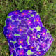 hand-painted-rocks