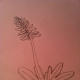 Step 5