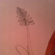 Step 4