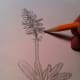 Step 7