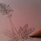 Step 6