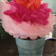 Multi-Coloured Tissue Paper Flowers
