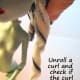 how-to-curl-doll-hair-learn-to-boil-perm-your-barbie-or-monster-high-dolls-hair