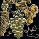 Hand colored linocut of Grapes created by Peggy Woods