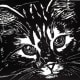 Untitled cat face linocut by Peggy Woods