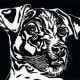 Linocut titled "J.R." by Peggy Woods