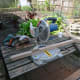 Cutting the wood to required lengths with a mitre saw.